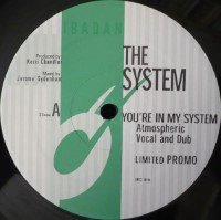 You're In My System (Kerri Chandler Remixes) album cover