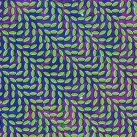 Merriweather Post Pavilion album cover