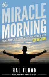 The Miracle Morning: The Not-So-Obvious Secret Guaranteed to Transform Your Life: Before 8AM book cover