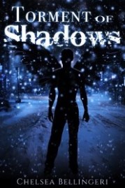 Torment of Shadows book cover