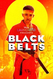 Black Belts movie poster