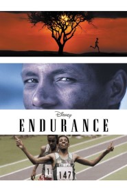 Endurance movie poster