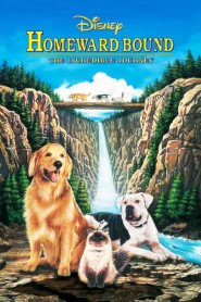 Homeward Bound: The Incredible Journey movie poster