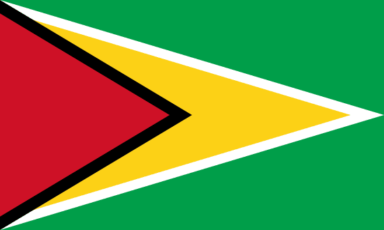 Guyana flag