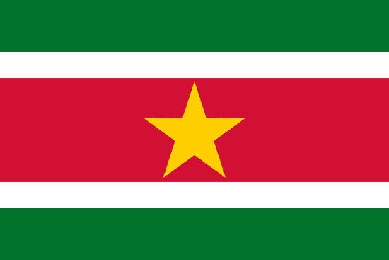 Suriname flag