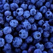 Blueberries