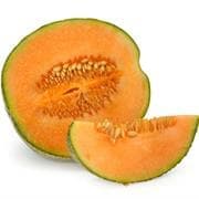 Cantalope