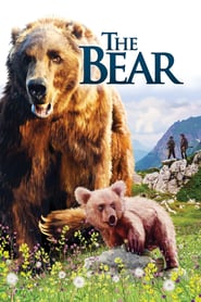 The Bear movie poster