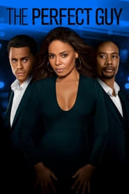 The Perfect Guy movie poster