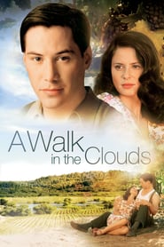 A Walk in the Clouds movie poster