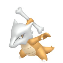 Marowak Pokemon