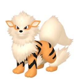 Arcanine Pokemon