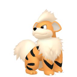 Growlithe Pokemon