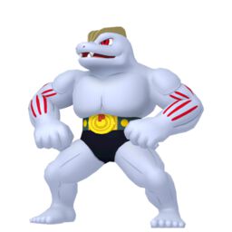 Machoke Pokemon