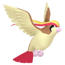 Pidgeot Pokemon