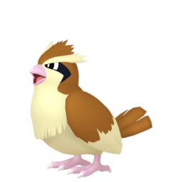 Pidgey Pokemon
