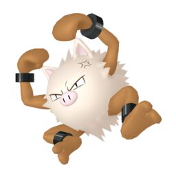 Primeape Pokemon