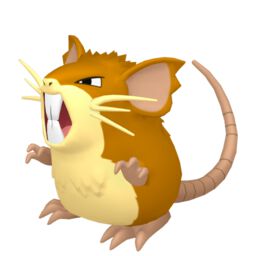 Raticate Pokemon