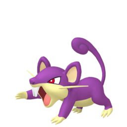 Rattata Pokemon