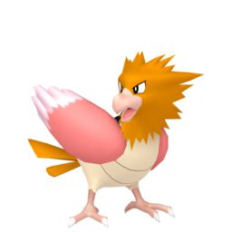 Spearow Pokemon