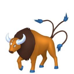 Tauros Pokemon