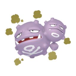 Weezing Pokemon
