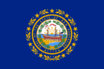 New Hampshire US state flag